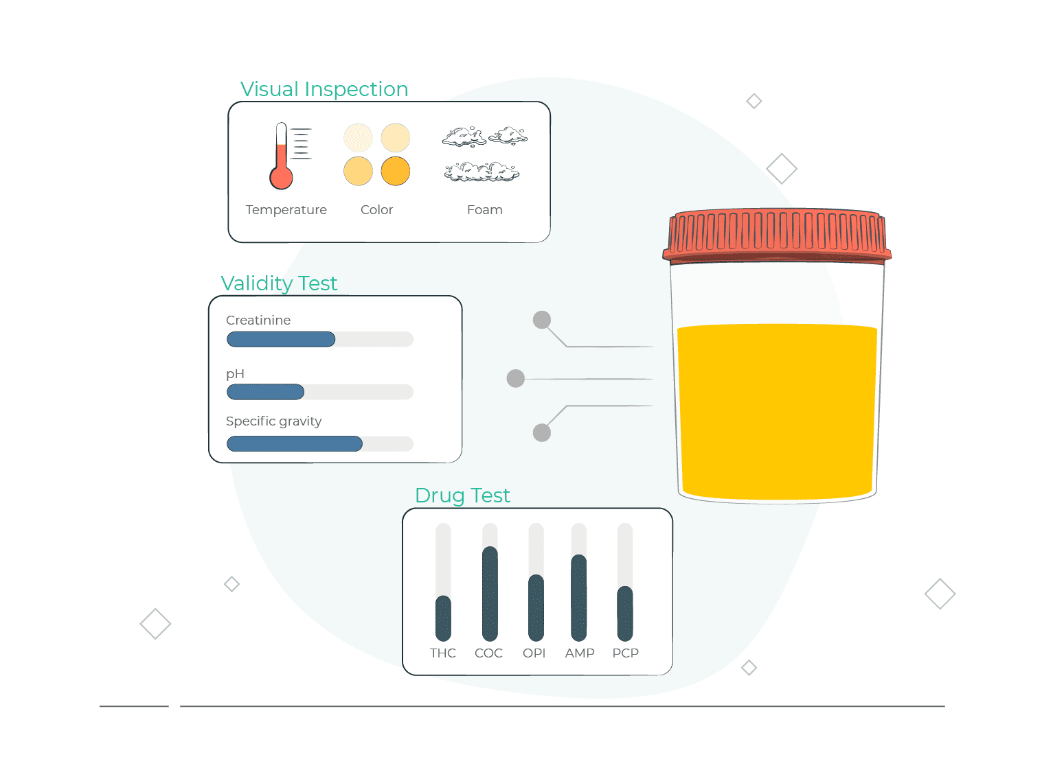 Best female urine substitution devices to hold urine for drug test [2024]